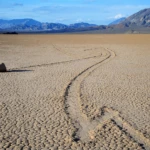 The racetrack