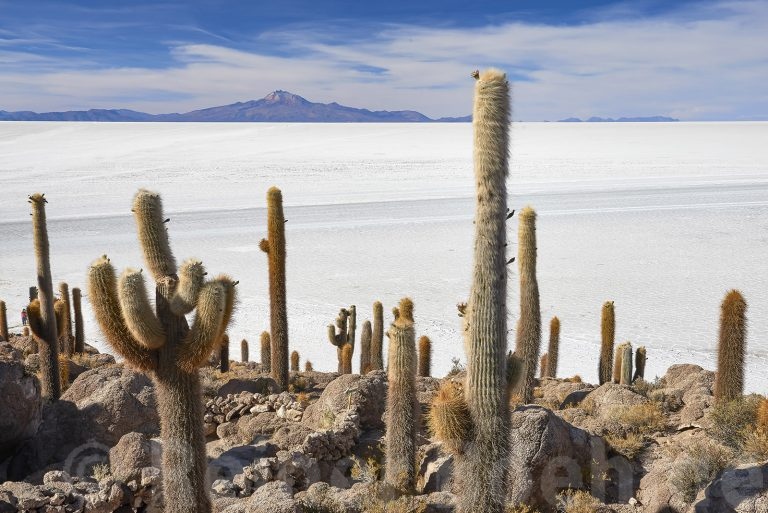 Isla Incahuasi