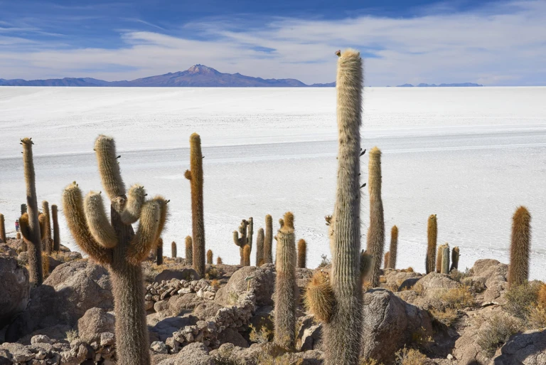 Bolivia