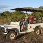 South Luangwa National Park