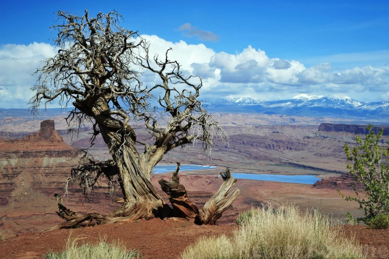 Dead Horse point overlook