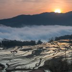 Qingkou terraces