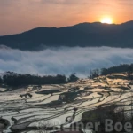 Qingkou terraces
