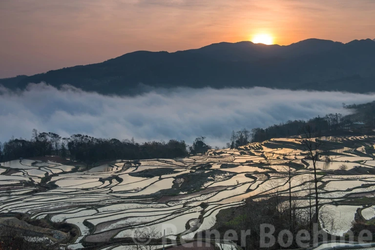 Qingkou terraces