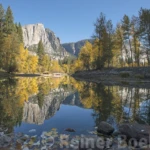 Reflections