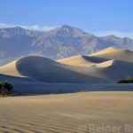 Mesquite dunes