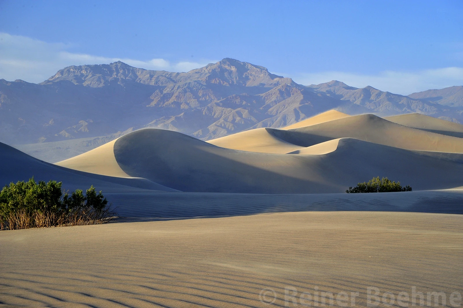 Mesquite dunes, Death Valley – photo by Reiner Boehme
