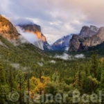 Tunnel view