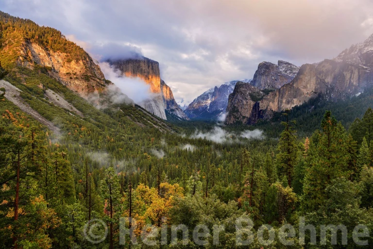 Tunnel view