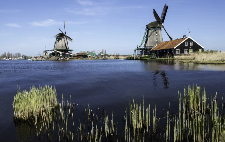 The Netherlands
