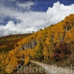 Autumn colors on CR7
