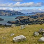 Beautiful New Zealand