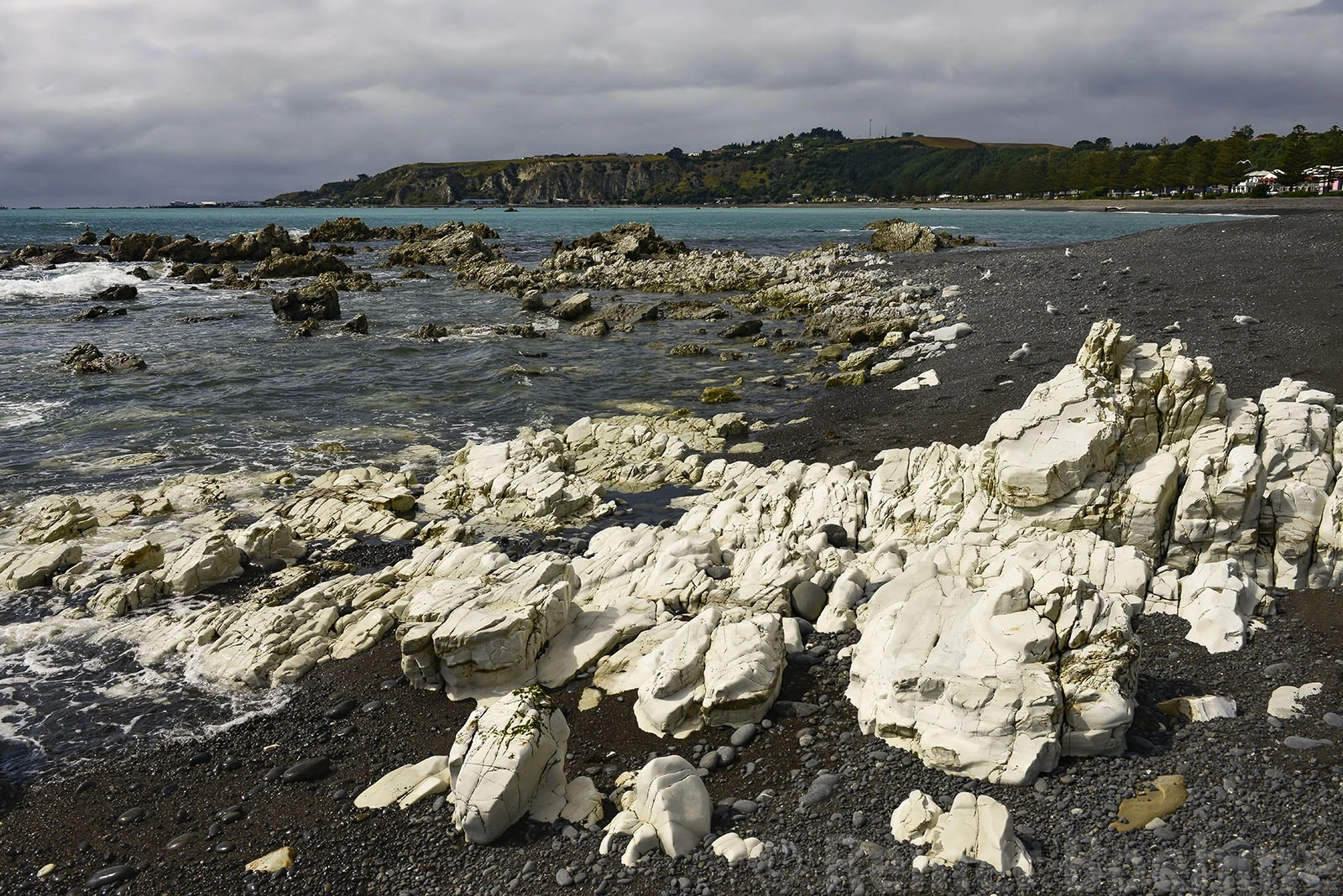 Seaside, New Zealand – photo by Reiner Boehme