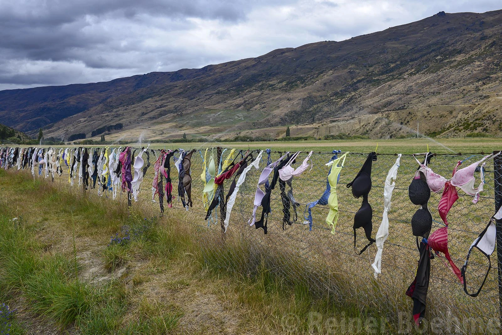 Discarded, New Zealand – photo by Reiner Boehme