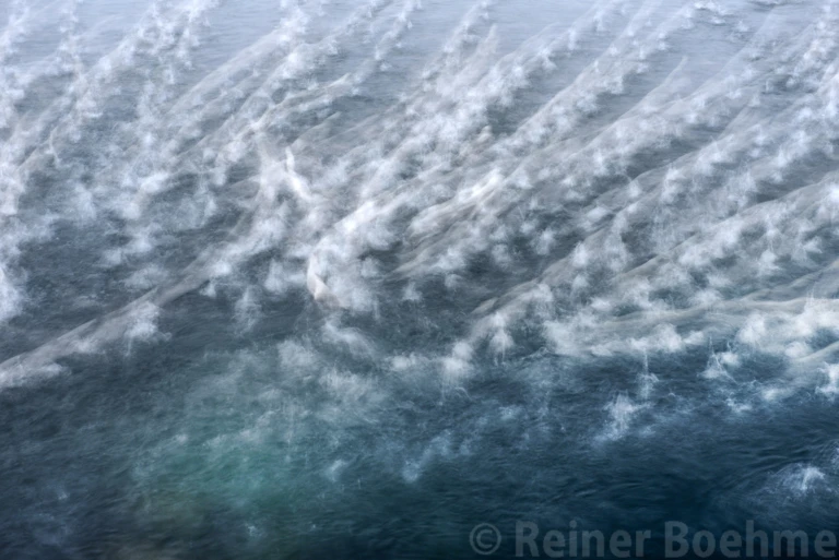 Seagulls fly away