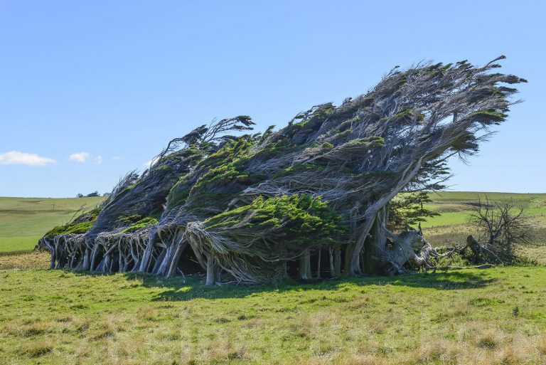 Prevailing wind