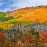 Colorado autumn colors