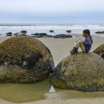 Moeraki boulders I