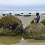 Moeraki boulders I