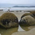 Moeraki boulders II