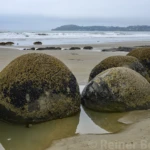 Moeraki boulders II