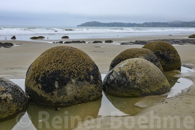 Moeraki boulders II