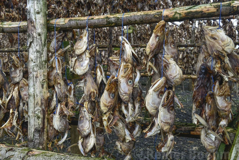 Drying fish