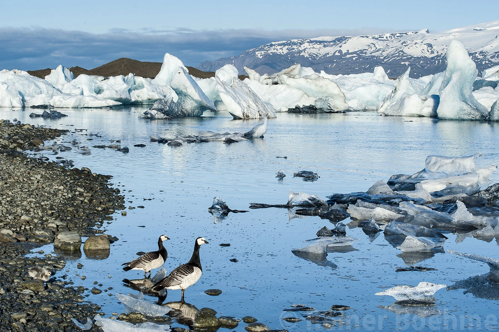 Jökulsarlon IV, Iceland – photo by Reiner Boehme