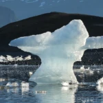 Jökulsarlon VI