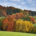 Autumn colors