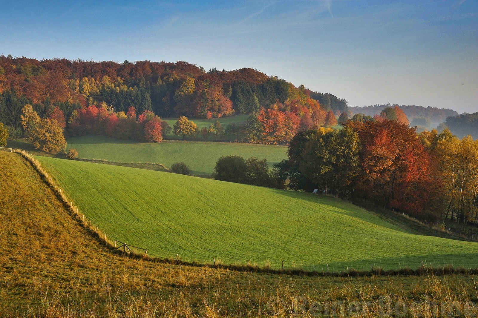 Nearby my home, Odenwald – photo by Reiner Boehme