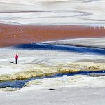 Laguna Colorada