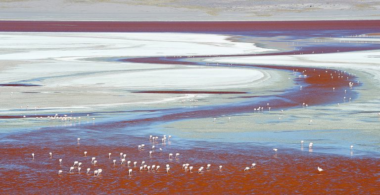 Laguna Colorada