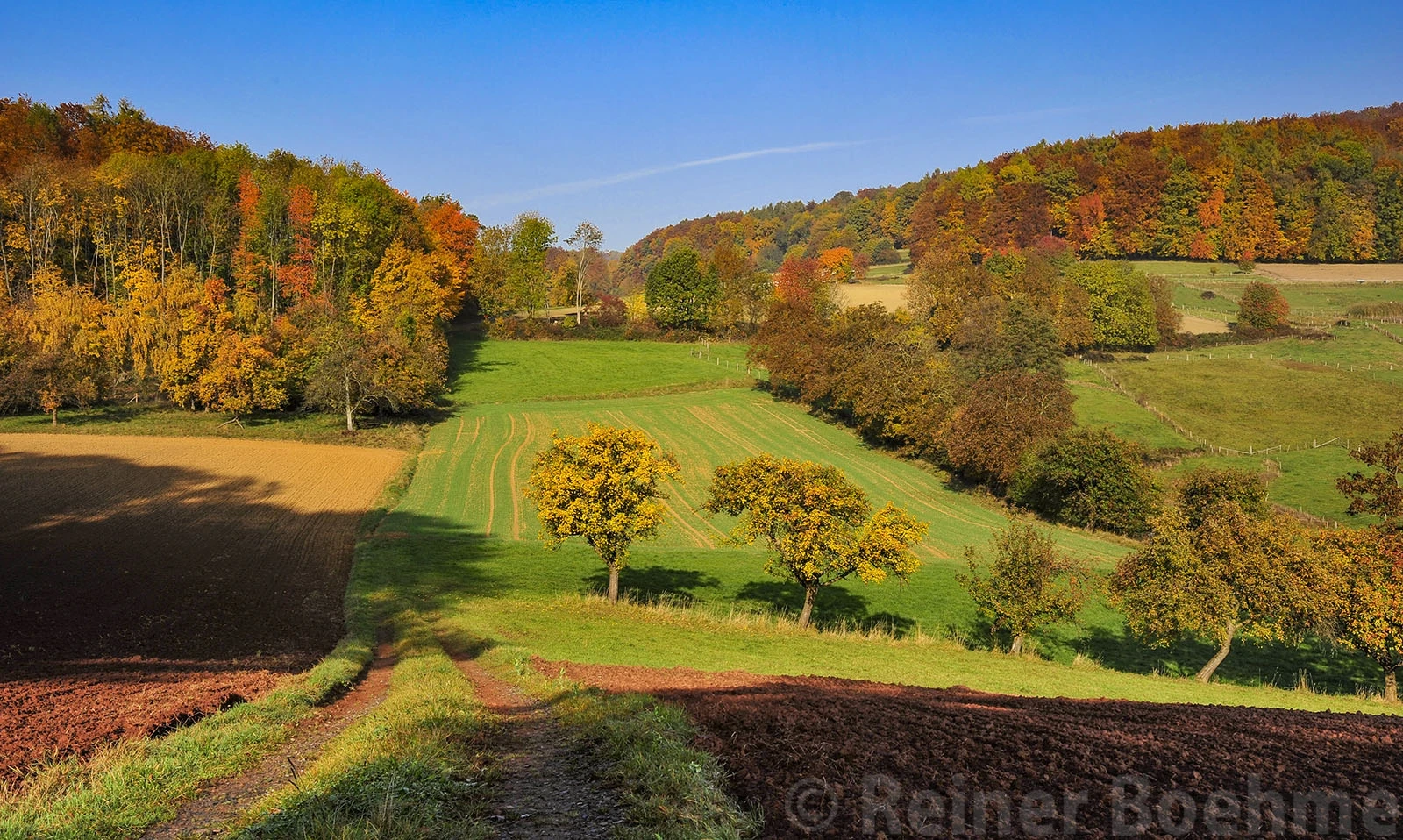 Nearby my home V, Odenwald – photo by Reiner Boehme