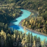Kanas NP