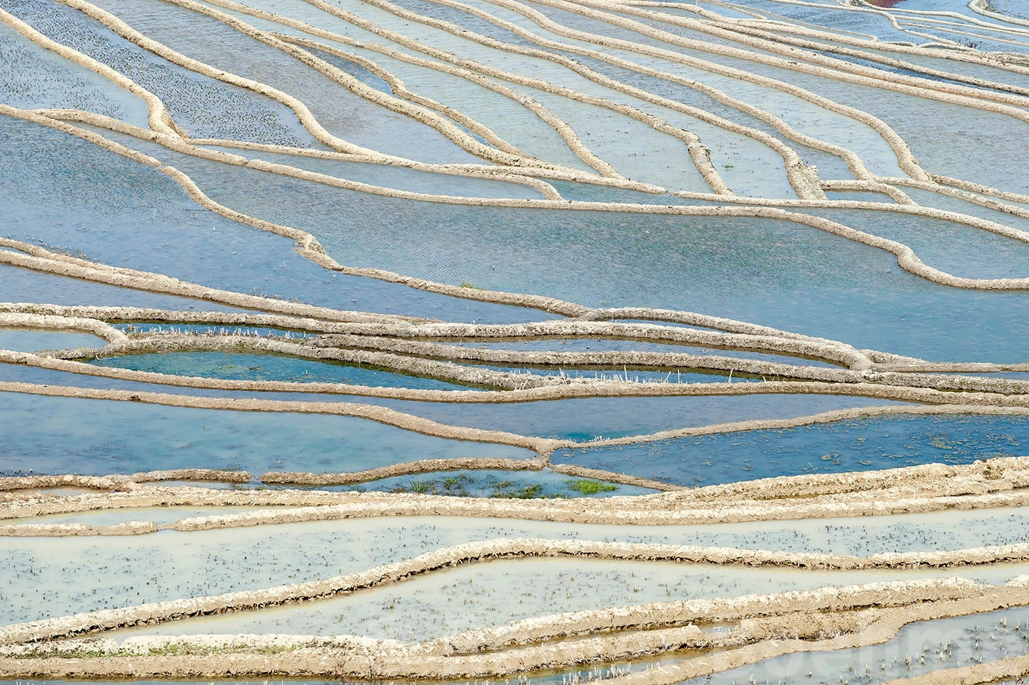 Lines, Yuanyang – photo by Reiner Boehme