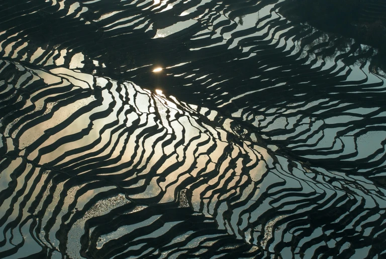 Yuanyang