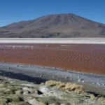 Laguna Colorada