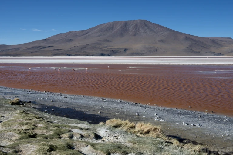 Laguna Colorada