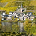 Small village surrounded by vineyards