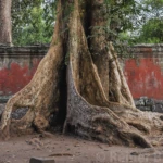 More trees