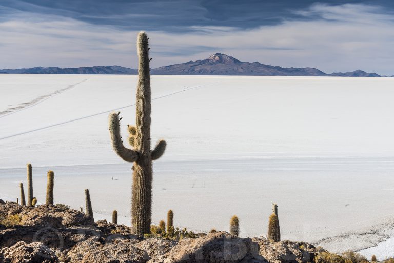 Isla Incahuasi