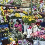 Market