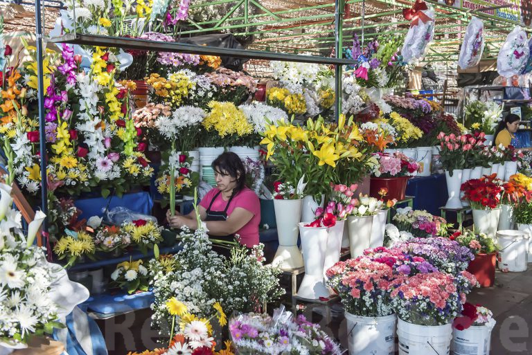 Market