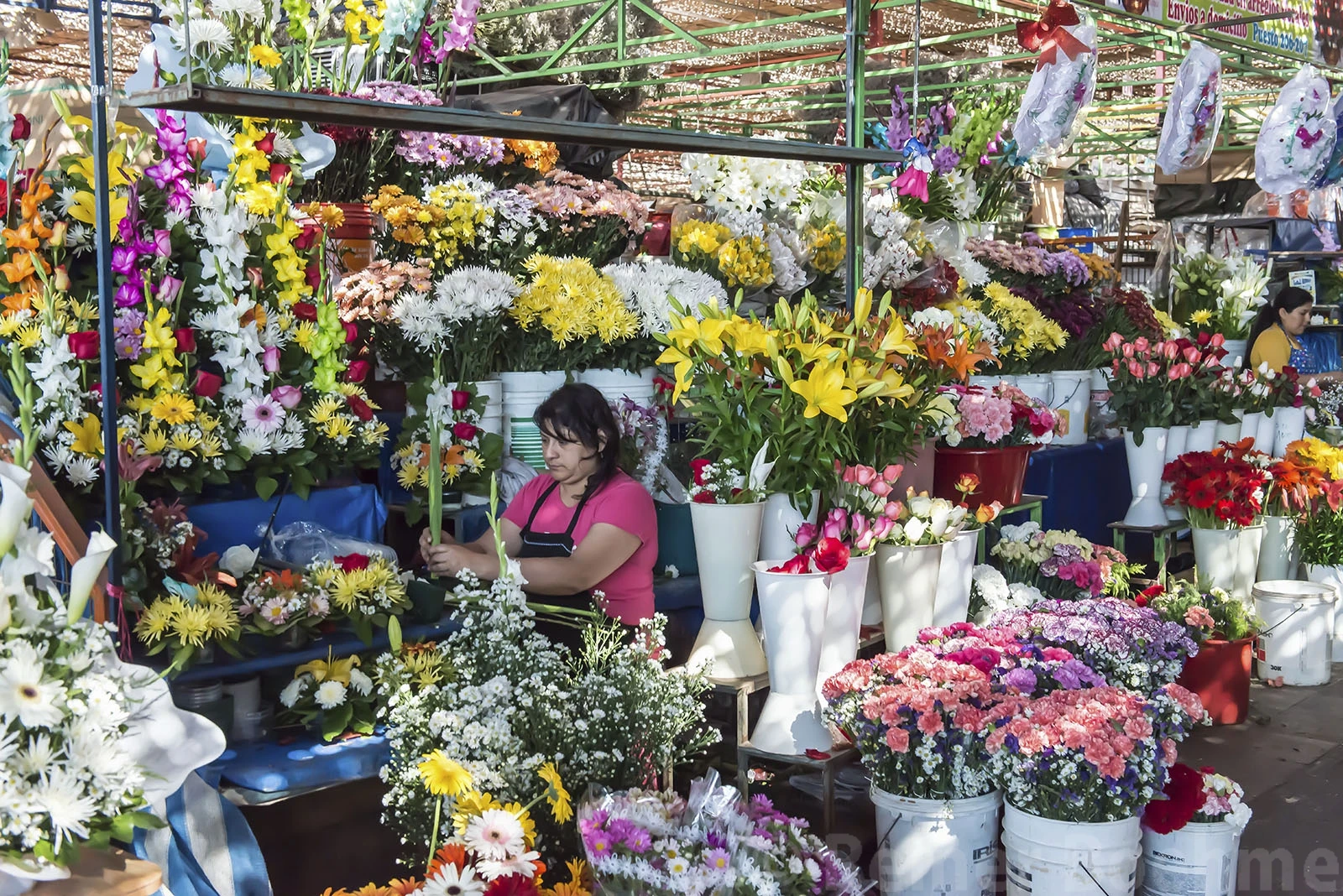 Market, Chile – photo by Reiner Boehme