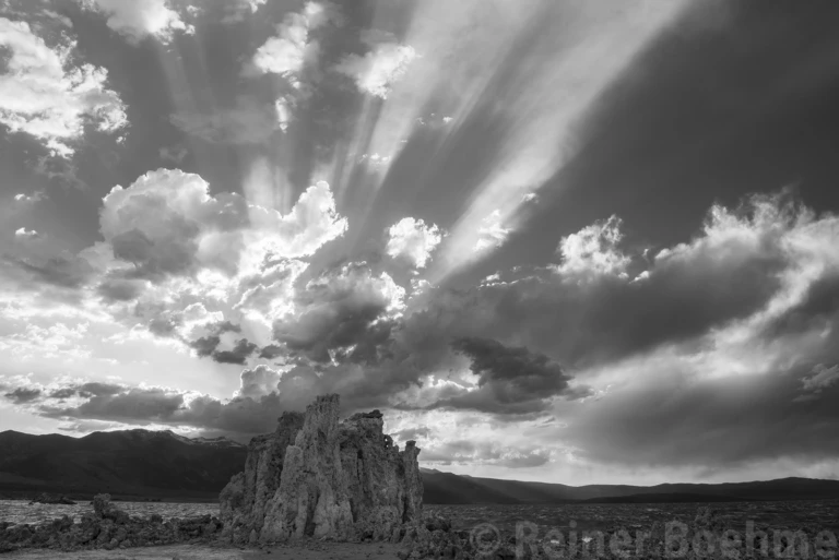 Rays