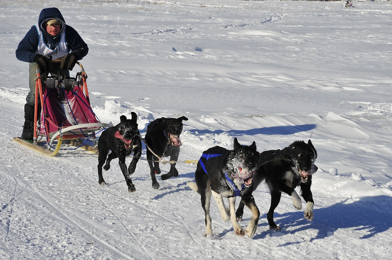Exercising for fun, Alaska – photo by Reiner Boehme
