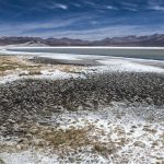 Salar de Surire II