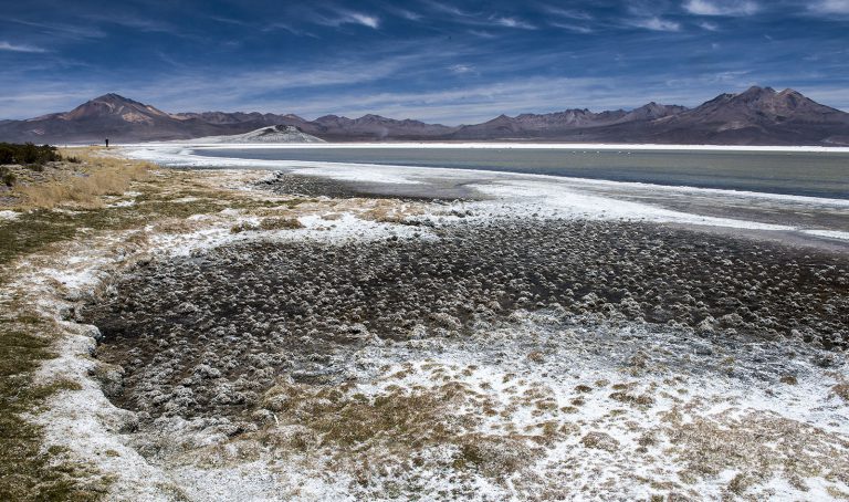 Salar de Surire II
