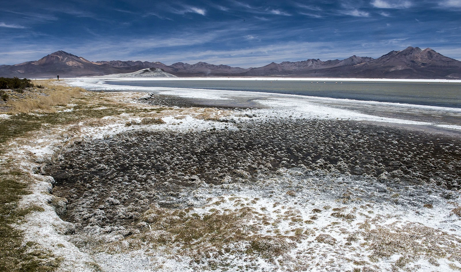 Salar de Surire II, Chile – photo by Reiner Boehme